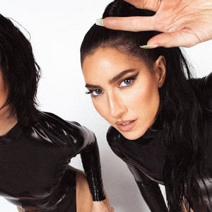 Image for The Jonas Brothers and The Veronicas Reunite on Stage
