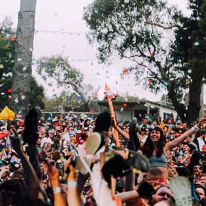 Image for Meredith Music Festival 2025 Lineup Announced
