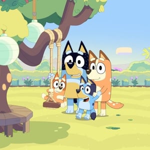 Image for ‘Bluey’ Studio Ludo Shoots Live-Action Feature ‘Allen’ for Netflix
