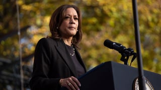 Image for Kamala Harris: ‘Sometimes The Fight Takes a While. That Doesn’t Mean We Won’t Win’