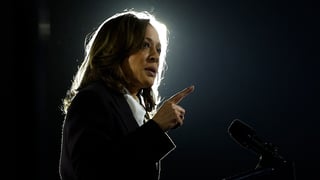 Image for Why Kamala Harris Lost &#8212; And Why It Wasn&#8217;t Close