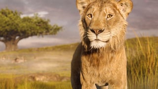 Image for Disney&#8217;s &#8216;Mufasa: The Lion King&#8217; Brings a Beloved Story to a New Generation