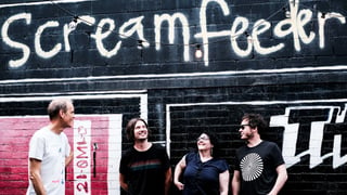 Image for Screamfeeder&#8217;s Favourite New Zealand Artists