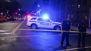 Image for Suspect in Fatal Israeli Embassy Staffer Shooting Charged With Murder
