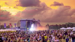 Image for &#8216;Does Not Make Sense&#8217;: Music Festivals, Events Banned in Sydney Parks