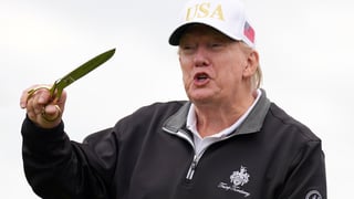 Image for Voters See Dems as More Corrupt Than Republicans Despite Trump&#8217;s Grifting