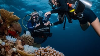 Image for &#8216;Huge Lack of Consideration&#8217;: Can We Reverse Australia&#8217;s Plastic Pollution Before It&#8217;s Too Late?