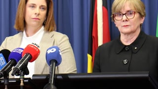 Image for Australian Government Responds to Optus Outage, Investigation Begins