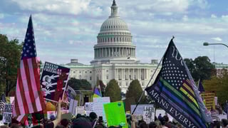 Image for America Is &#8216;Worth Fighting For&#8217; Say Protesters at &#8216;No Kings&#8217; Rally
