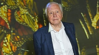 Image for David Attenborough Breaks Dick Van Dyke&#8217;s Record to Become Oldest-Ever Emmy Winner