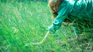 Image for Jennifer Lawrence Is Completely Unhinged in &#8216;Die My Love&#8217;