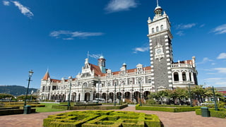 Image for Rolling Stone Heads to Dunedin