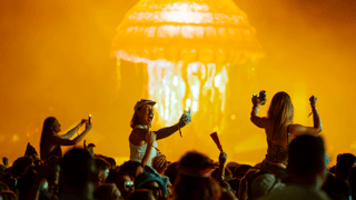 Image for Why BASSINTHEGRASS is One of Australia’s Most Underrated Music Pilgrimages