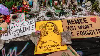 Image for Renee Good&#8217;s Shocking Death Unleashed a Wave of AI-Generated Brain Rot