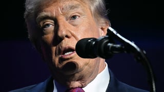 Image for Trump&#8217;s Polling Free Fall