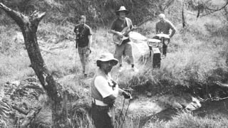 Image for Eddy Current Suppression Ring are Returning to Sydney for First Show in 15 Years
