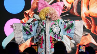 Image for Sia Gives $100,000 to Fan Favorite in &#8216;Survivor 50&#8217; Finale