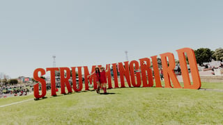 Image for Strummingbird Festival Confirms 2026 Return, Adds New Location