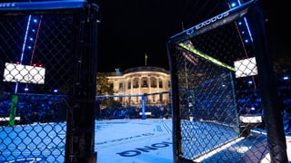 Image for The White House UFC Fight Was Donald Trump&#8217;s All-American Dream