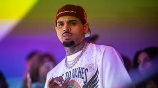 Image for Chris Brown Dog-Mauling Trial Delayed Over Mistrial