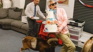 Image for Goodbye, &#8216;Jackass.&#8217; You Were Always the Best at Making Bodily Harm Hilarious