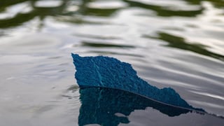 Image for Trump Is Melting Down and Threatening Jail Time Over Reflecting Pool Disaster