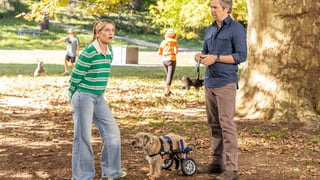 Image for Global Hit &#8216;Colin From Accounts&#8217; Locks in Season 3 Premiere Date