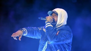 Image for Lawyers For Eminem Appeal Trademark Decision Against Australian Swimwear Brand Swim Shady