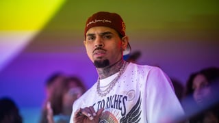 Image for Judge Poised to Slash $12.9 Million Jury Award in Chris Brown Dog Mauling Case