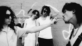 Image for Geese to Headline 2027 Golden Plains Festival