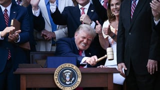 Image for 100 Unhinged Things Trump Did That You May Have Forgotten