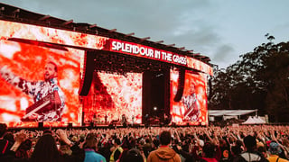 Image for Splendour in the Grass Scrapped for 2025