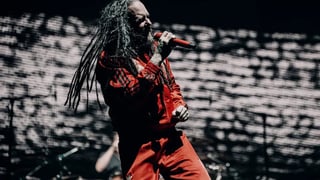 Image for &#8216;It’s Blowing My Mind&#8217;: Korn Loved Being Back in Australia for Good Things 2024