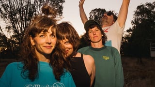 Image for Festivals, Beaches and Goats: On the Road with Tropical Fuck Storm