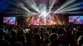 Image for SafeWork NSW Looking into Concerns Raised Over Bluesfest 2025