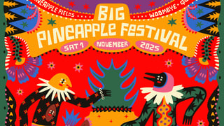 Image for Big Pineapple Reveals Huge Lineup for 10th Anniversary Edition