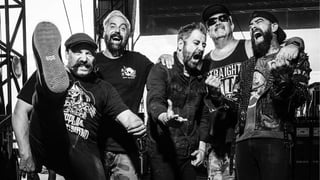 Image for &#8216;This Could Be the Last Time&#8217;: Zebrahead Tell Us About Their Long-Awaited Australian Tour