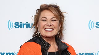 Image for Roseanne Barr Plots Comeback With New Comedy Series, About a Family Who ‘Saves America With Guns, the Bible, Petty Crime and Alcoholism’ (EXCLUSIVE)