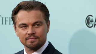 Image for Leonardo DiCaprio Puts Australian Government on Blast For Deforestation Plans