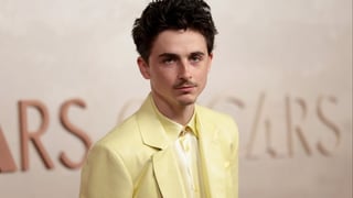 Image for Timothée Chalamet to Be Honored at David di Donatello Awards