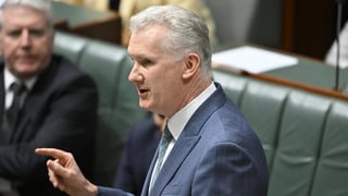 Image for Tony Burke Retains Portfolio for the Arts