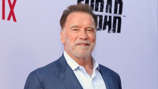 Image for Arnold Schwarzenegger Blames L.A. ICE Raids on Republicans and Democrats’ Lack of Immigration Reform: ‘They’re All Political Hacks Rather Than Public Servants’