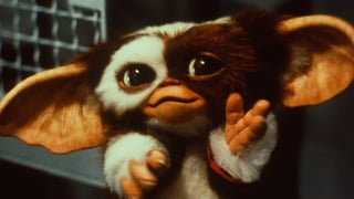 Image for ‘Gremlins 3’ Is Just ‘Waiting on Spielberg to Read and Approve’ the Script, Says Original Lead Actor Zach Galligan: ‘Warner Bros. Is Incredibly Interested’