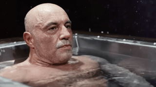 Image for ‘The Daily Show’ Trolls Joe Rogan in New Biography Segment: He’s ‘Like the Great Renaissance Thinkers’ (EXCLUSIVE)