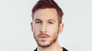 Image for Calvin Harris Accuses Financial Adviser of Stealing Millions to Fund ‘Boondoggle’ Real Estate Project