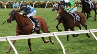 Image for Nine Network Wins Big With 2025 Melbourne Cup Coverage