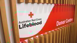 Image for Urgent Blood Donations Needed After Bondi Beach Terror Attack