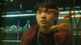 Image for Judge Specsavers’ Flickerfest Short Film Competition and You Could Be in With a Chance of Winning $1k