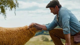 Image for ‘The Sheep Detectives’ Review: Wholesomely Offbeat Family Comedy Has Bags Full of Charm