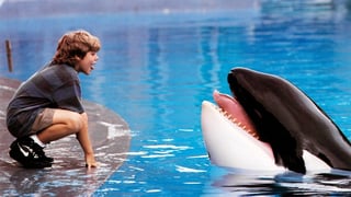 Image for ‘Free Willy’ Reboot in the Works at Warner Bros.